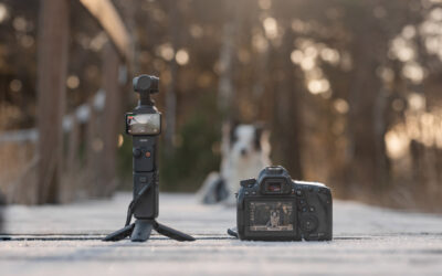 Mein Equipment, Setup & alles was ich für meine Selbstständigkeit als Hundefotografin nutze