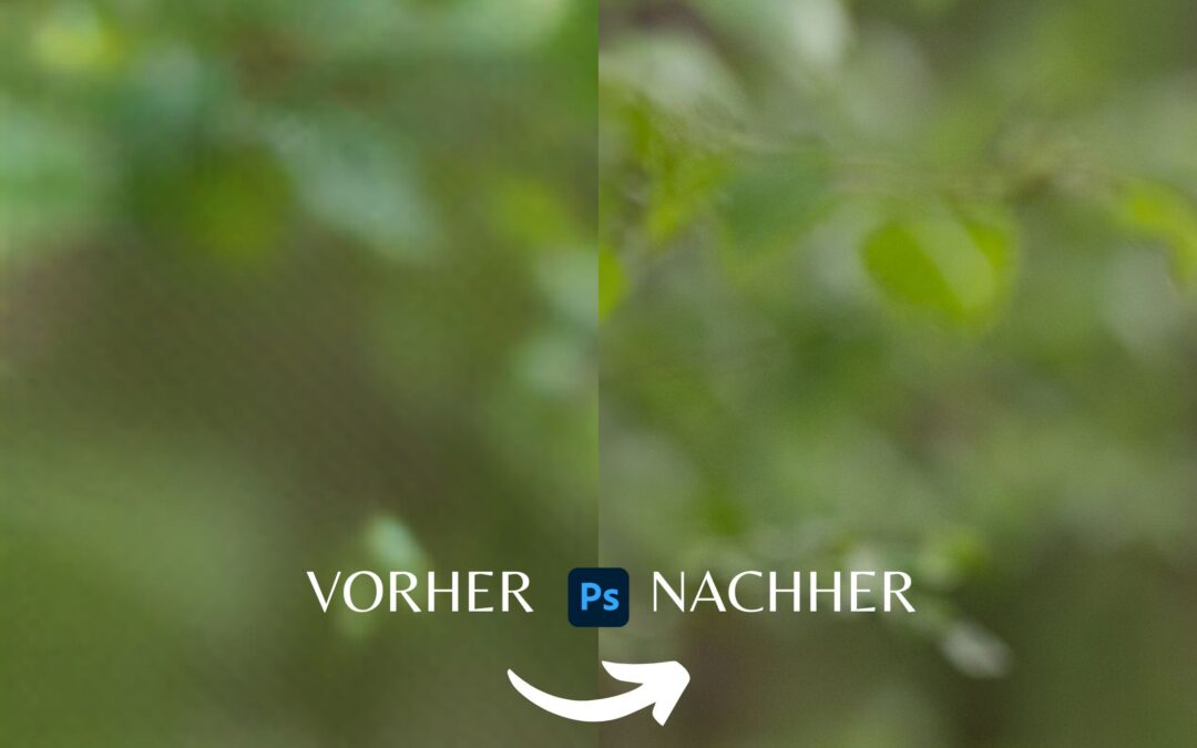 Photoshop KI Bilderweiterung Qualität verbessern