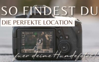 Wie findest du Loactions für deine Fotos? Hier sind 9 Tipps, die dir dabei helfen!