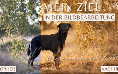 Mein Ziel in der Bildbearbeitung