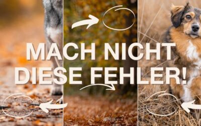 Diese 3 Photoshop-Fehler lassen deine Bilder unnatürlich wirken – und wie du sie vermeidest