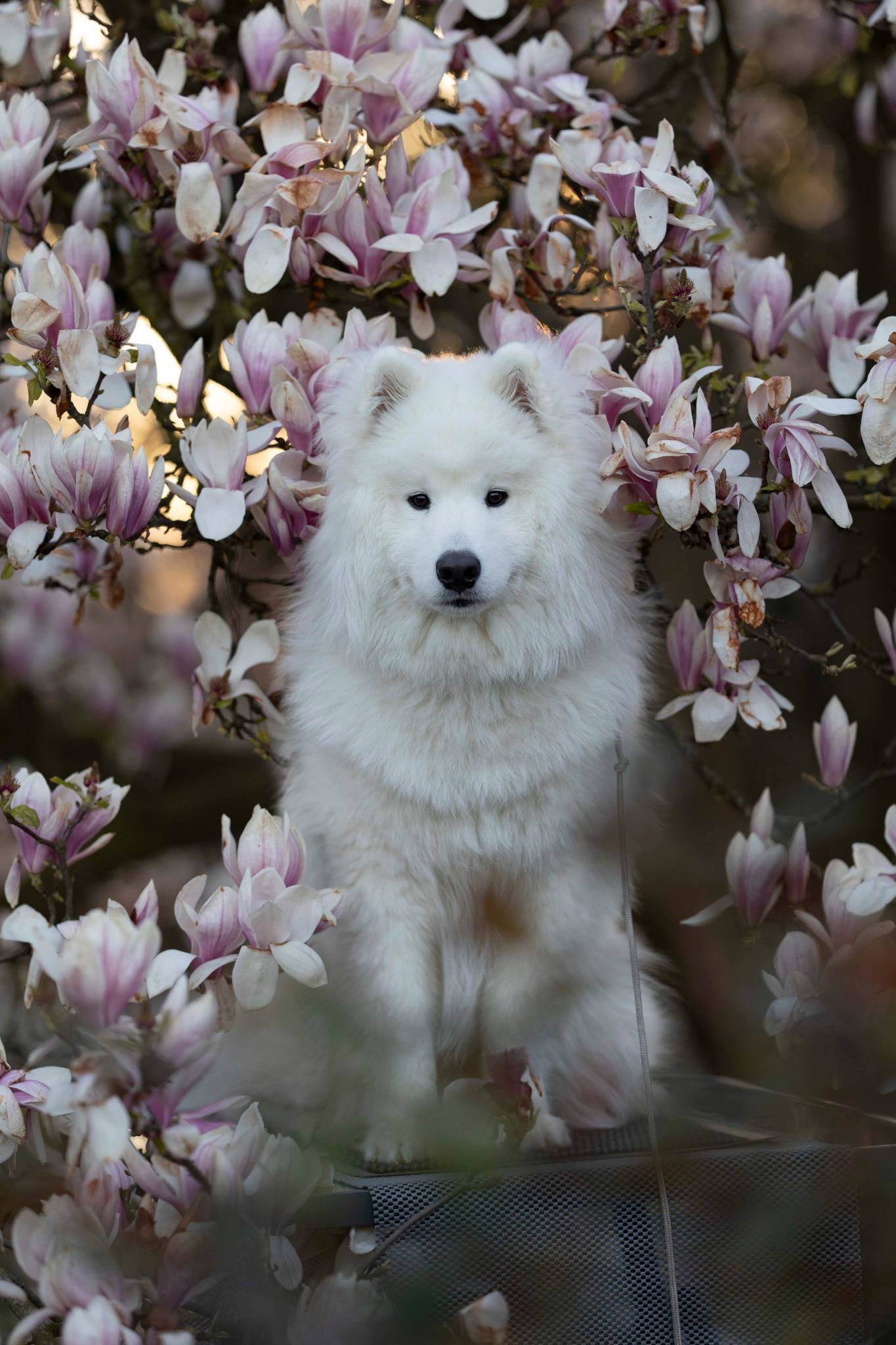 Unbearbeitet Unbearbeitet