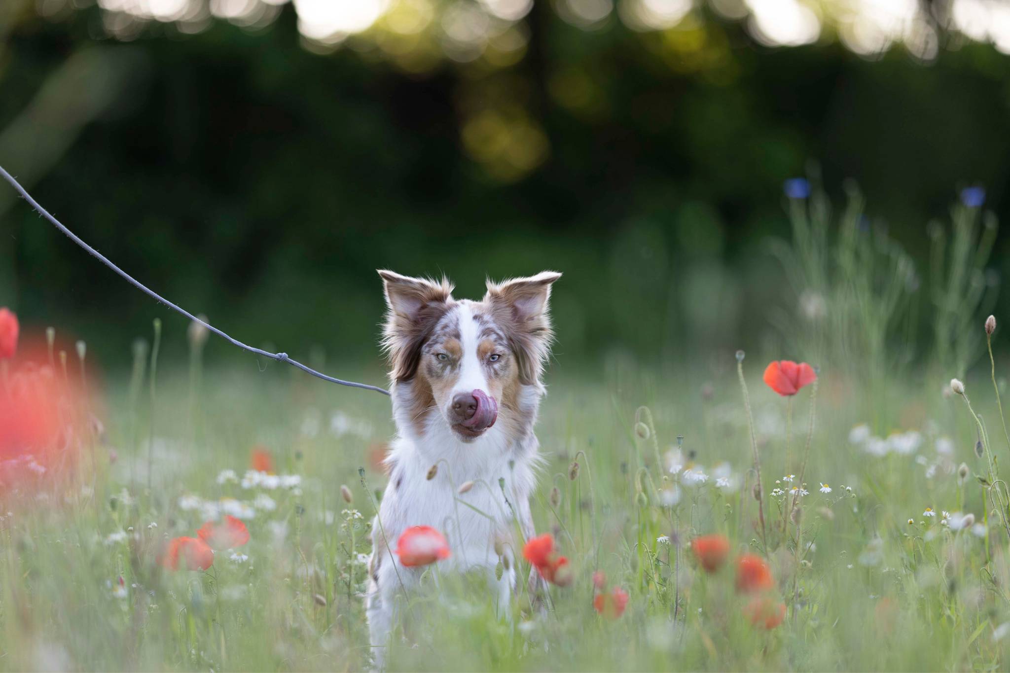 Unbearbeitet Unbearbeitet